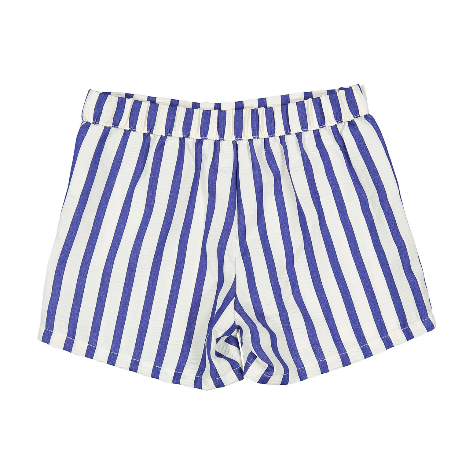 Arza Indigo Stripe Shorts - Image 3