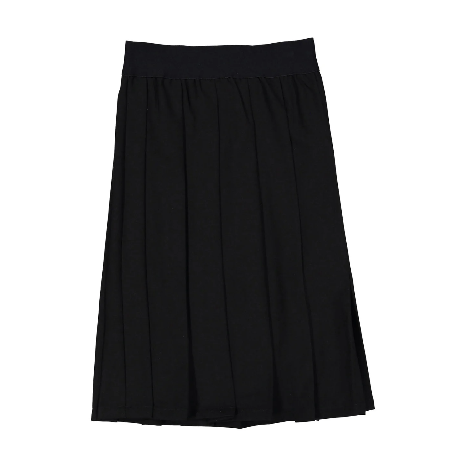 ELEMENTS Black Pleated Knee Length Skirt