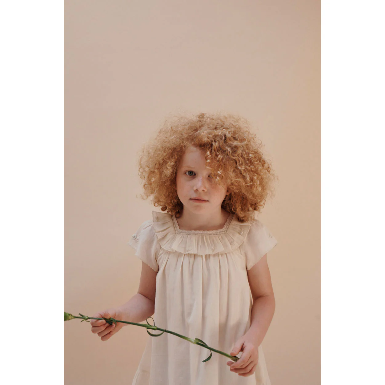 Emile et Ida Chantilly Vintage Dress - Image 2