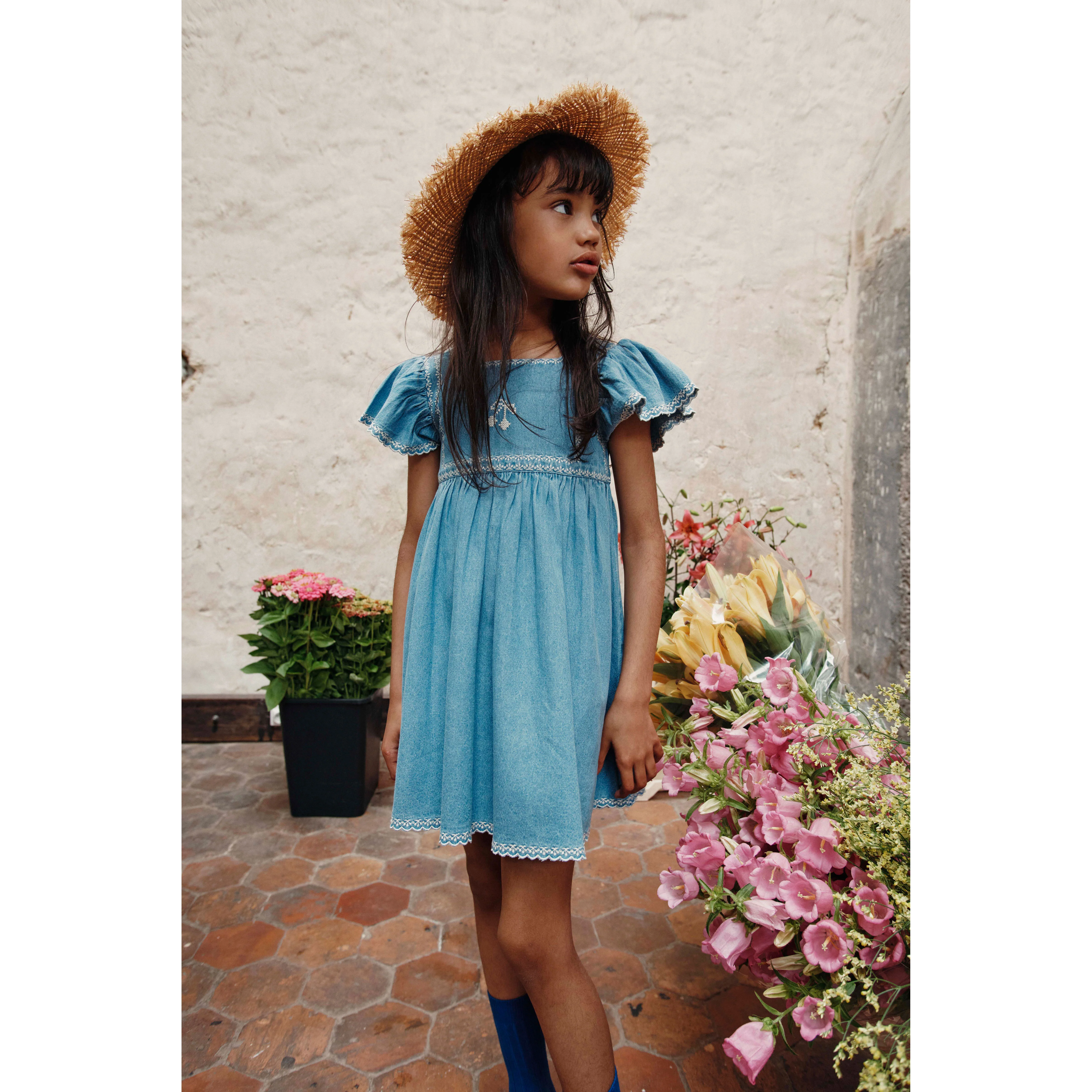 Emile et Ida Denim Embroidered Dress - Image 2