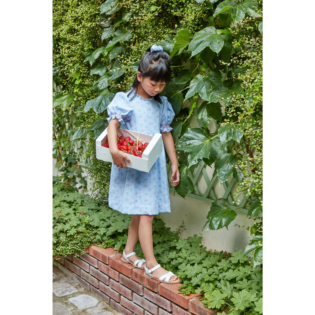 Kidiwi Blue Seersucker Gingham/Bouquet Dress - Image 2