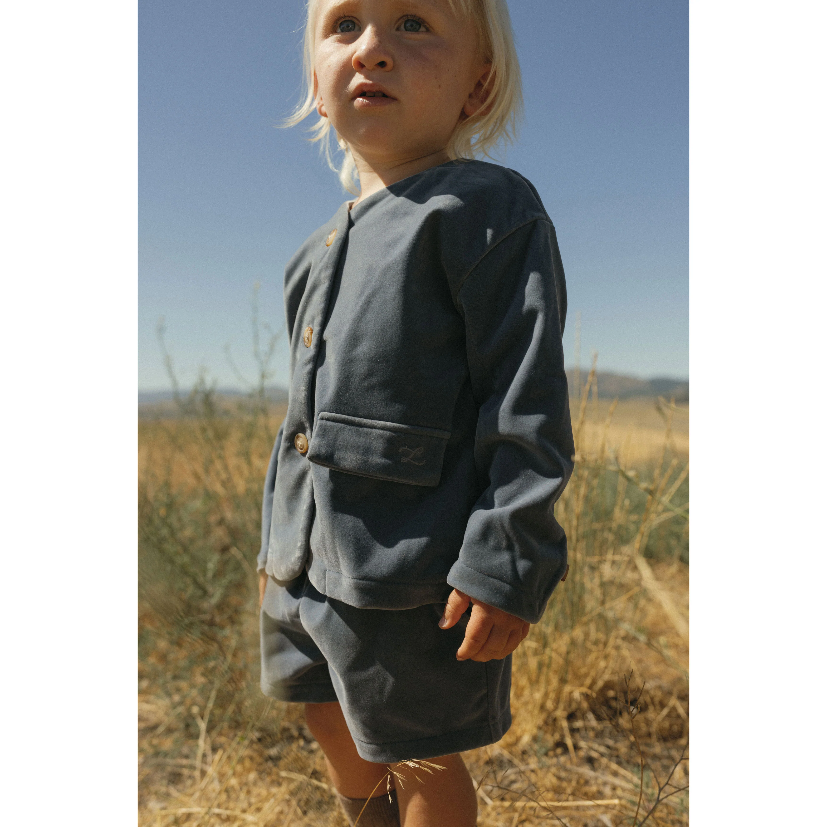 L by Ladida Blue Velvet Blazer - Image 2