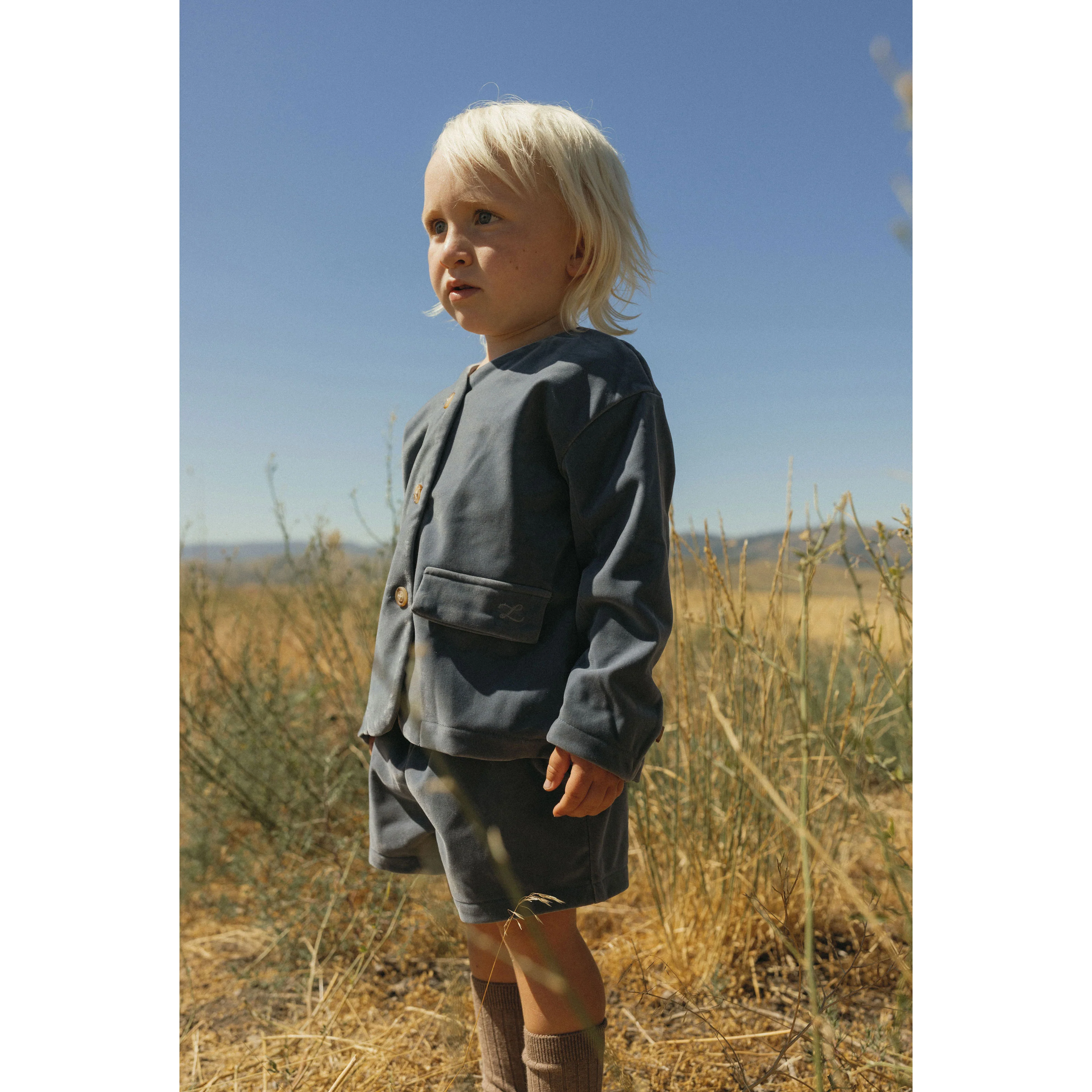 L by Ladida Blue Velvet Shorts - Image 2