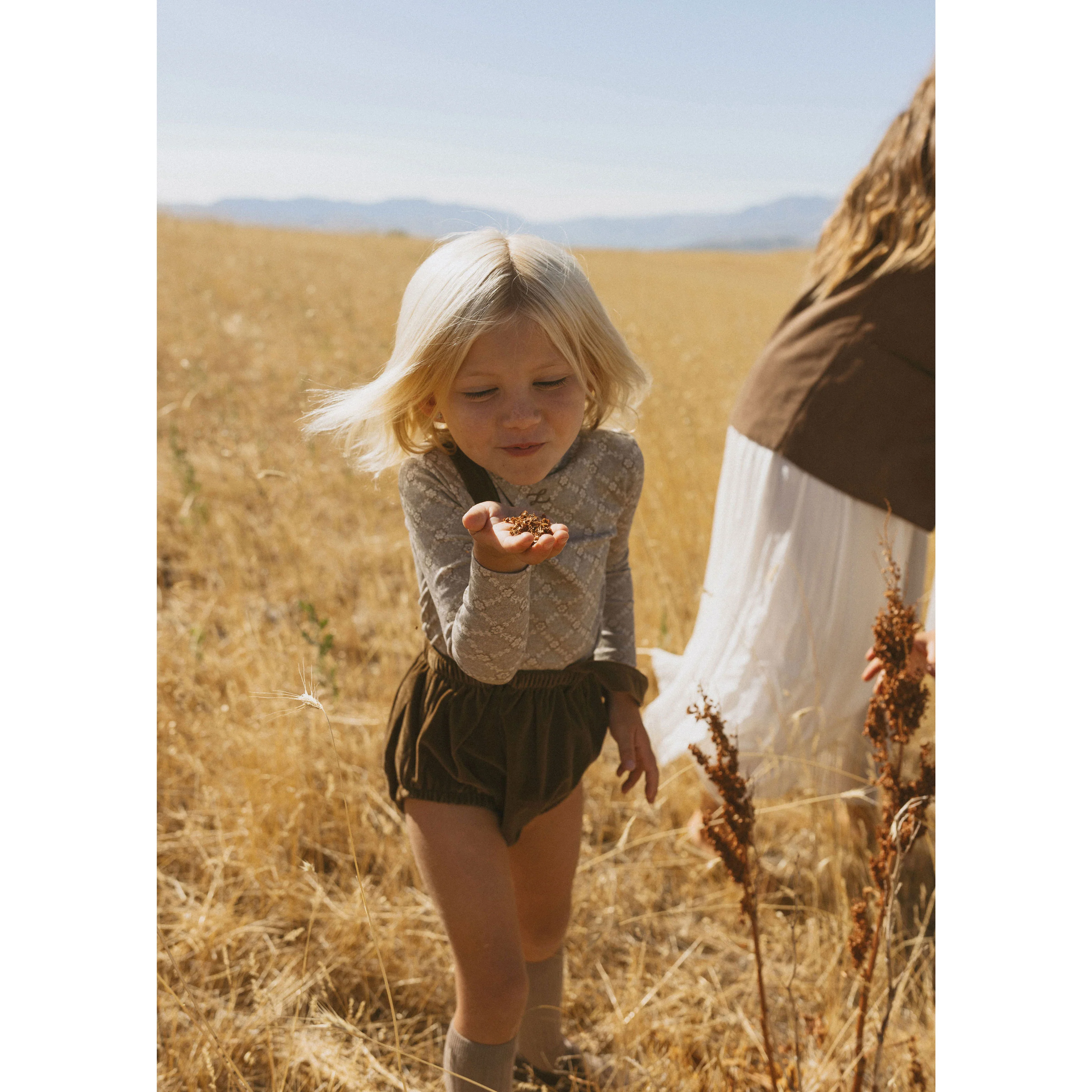 L by Ladida Brown Velvet Suspender Bloomers - Image 3