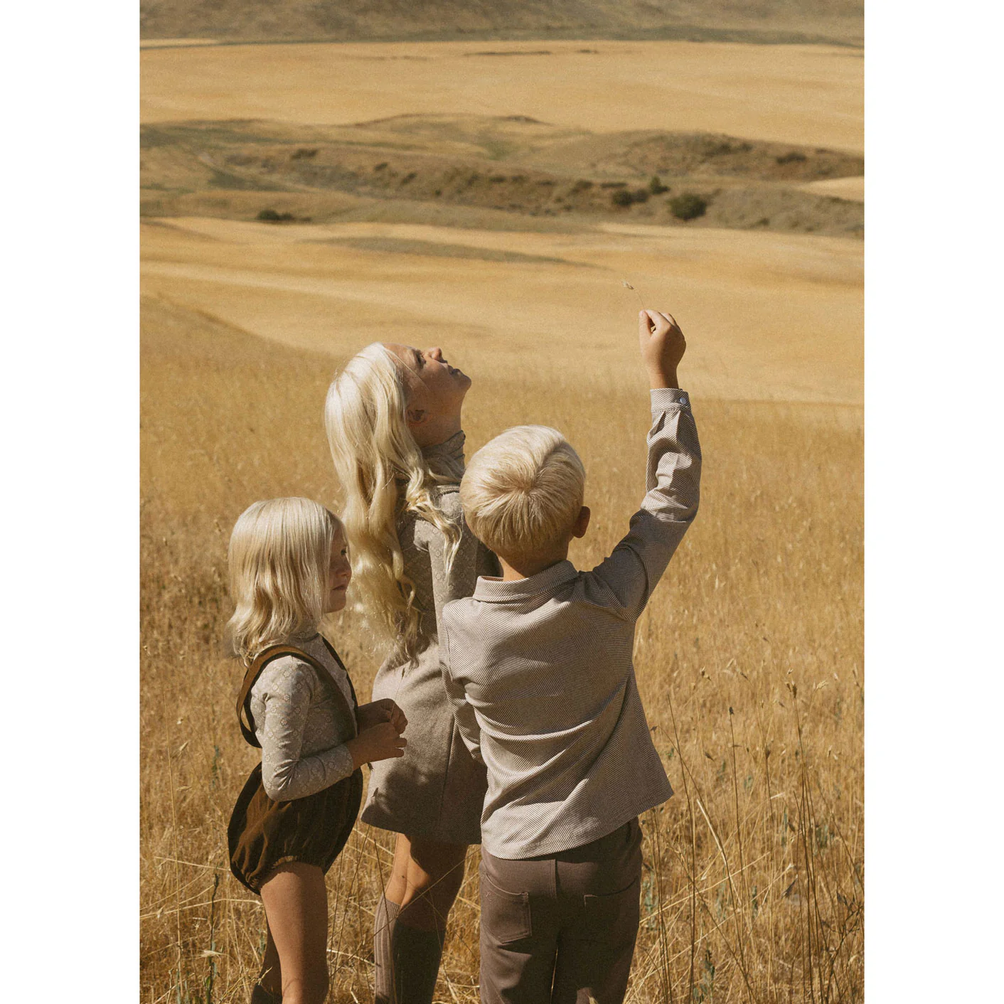 L by Ladida Brown Velvet Suspender Bloomers - Image 4