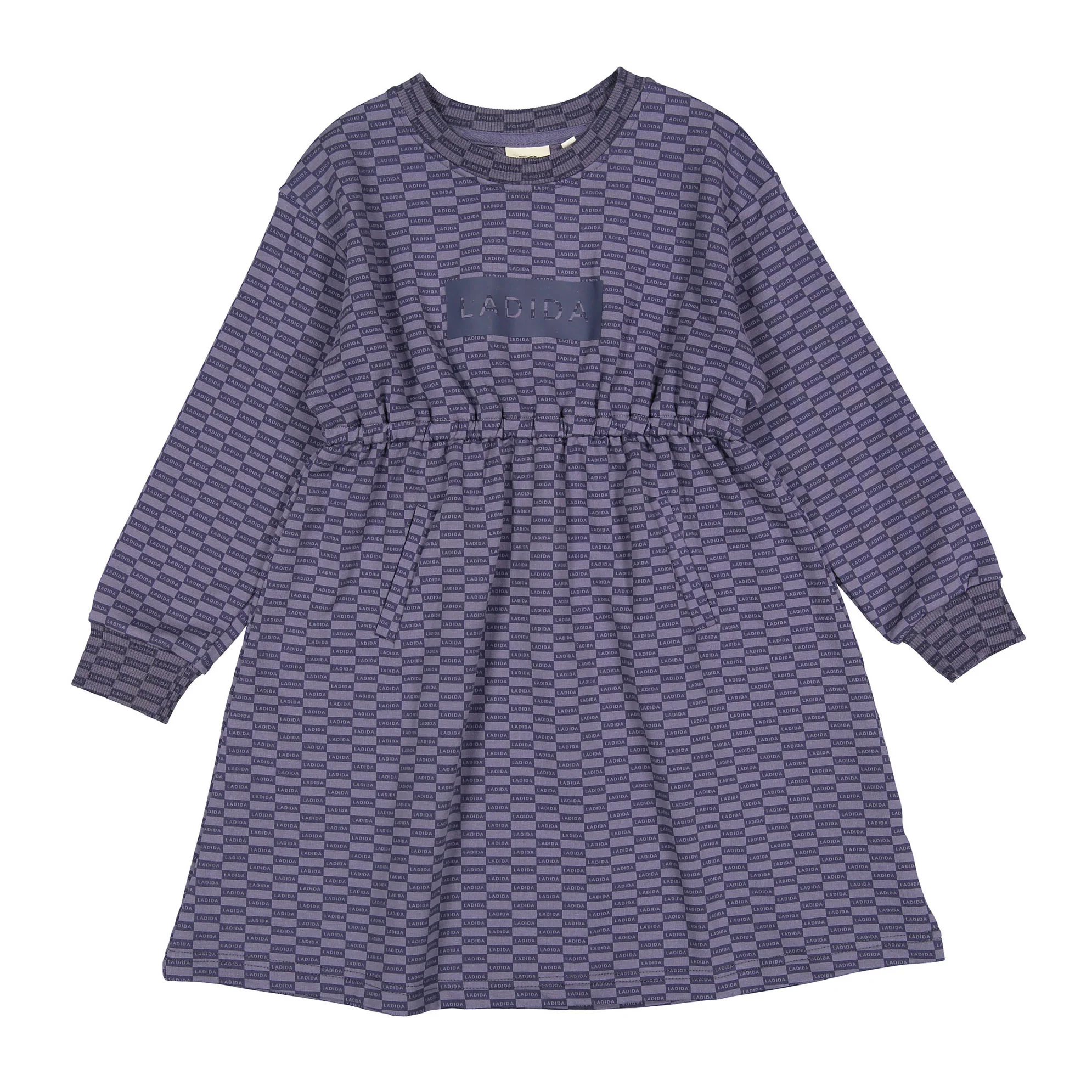 L by Ladida Slate Blue Print Dress