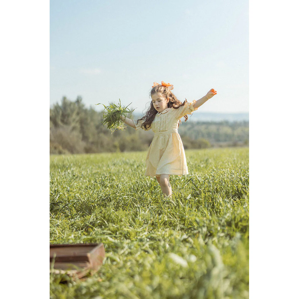 L by Ladida Yellow Check Dress - Image 2