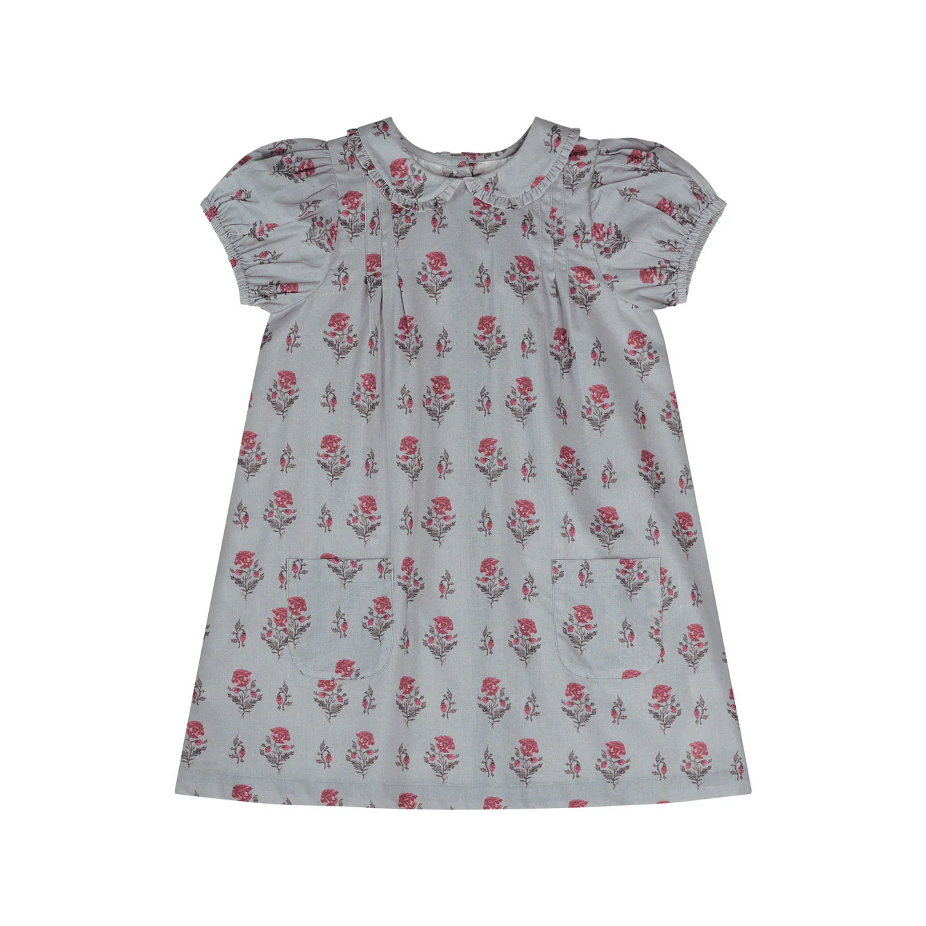 Little Cotton Clothes Juniper Floral Organic Mimi Dress