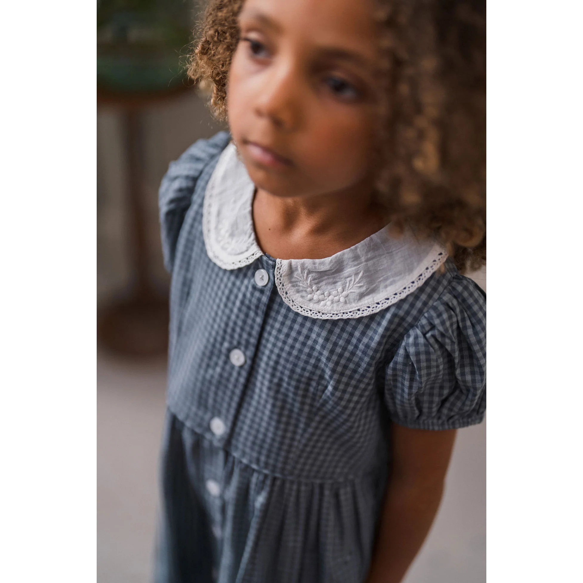 Little Cotton Clothes Little Blue Check Organic Audrey Dress - Image 4