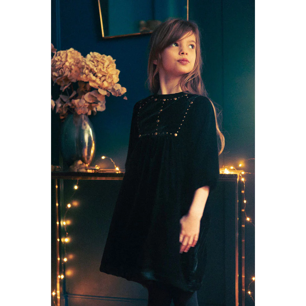 Louis Louise Black Velvet Mahani Dress - Image 3