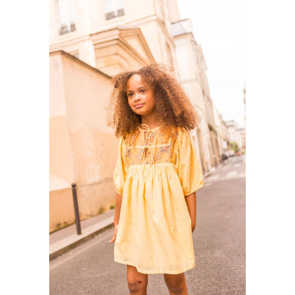 Louis Louise Yellow Paula Dress - Image 3