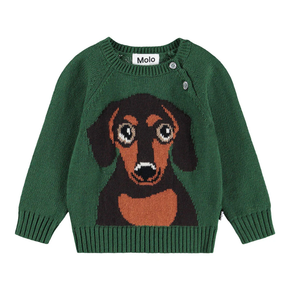 Molo Green Dachs Puppy Bless Sweater