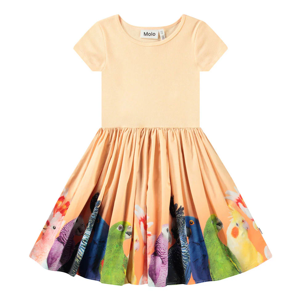 Molo Rainbow Parrots Cissa Dress