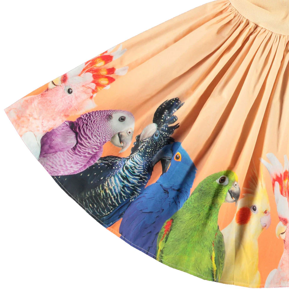 Molo Rainbow Parrots Cissa Dress - Image 2