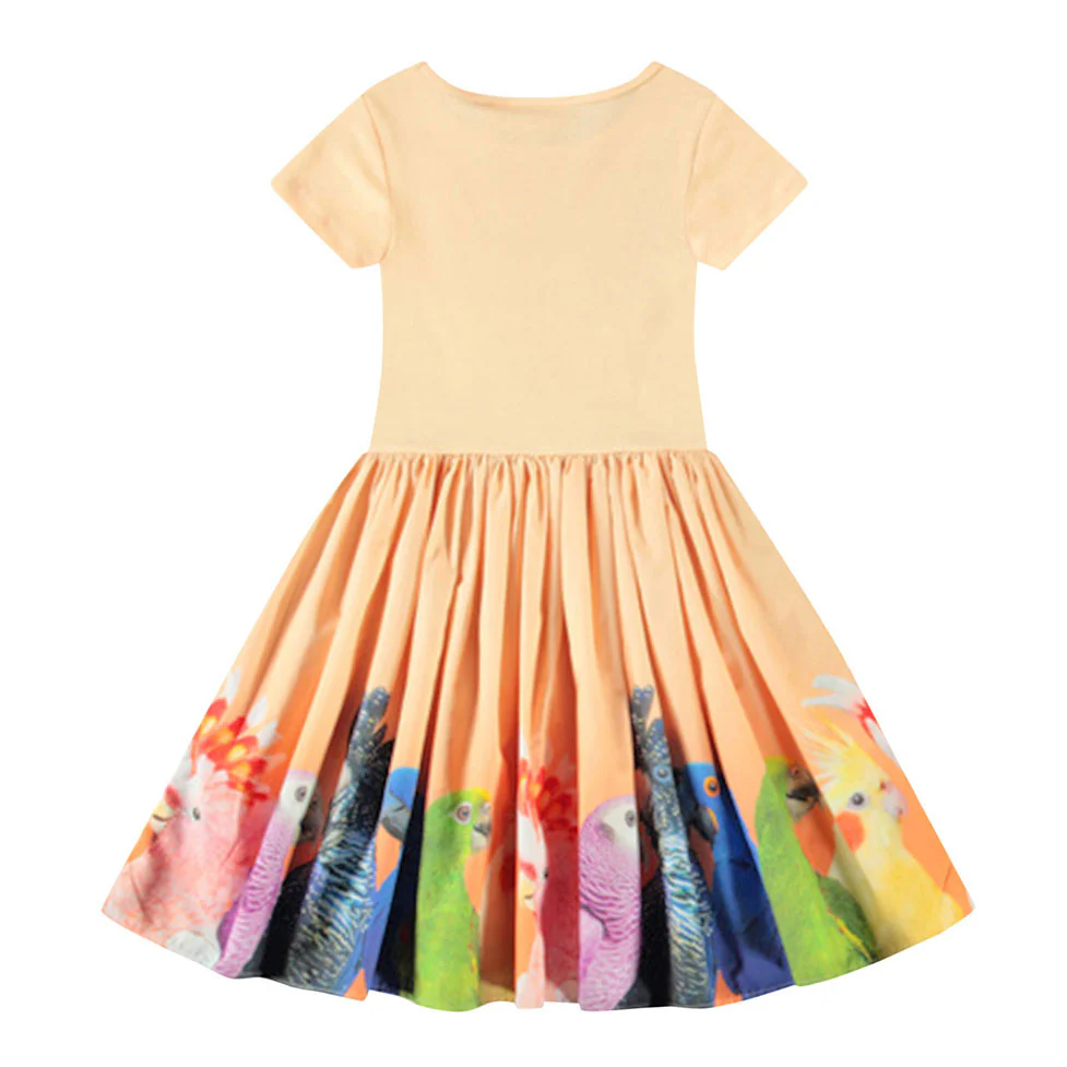 Molo Rainbow Parrots Cissa Dress - Image 3