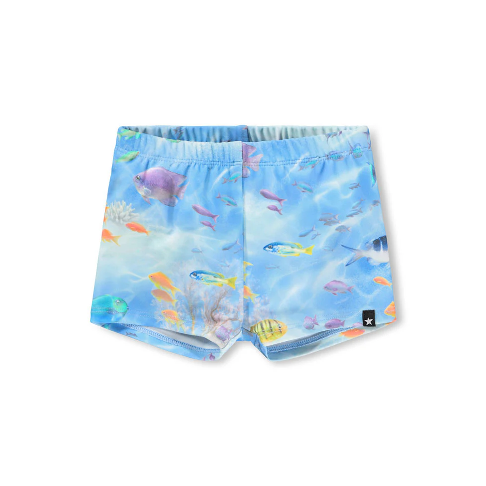 Molo Rainbow Sea Nansen Trunks