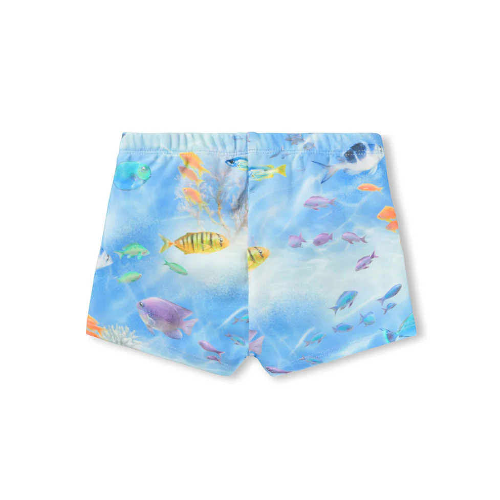 Molo Rainbow Sea Nansen Trunks - Image 2