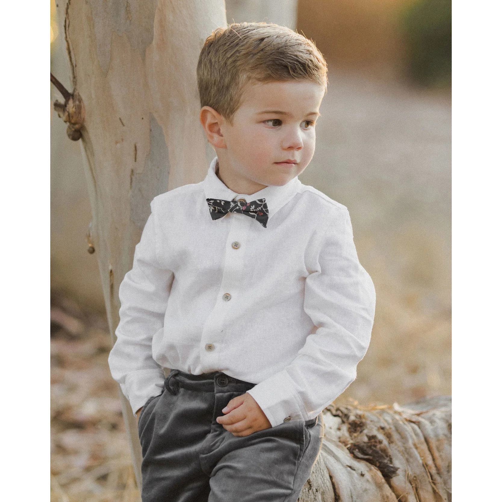 Noralee Midnight Garden Bow Tie - Image 2