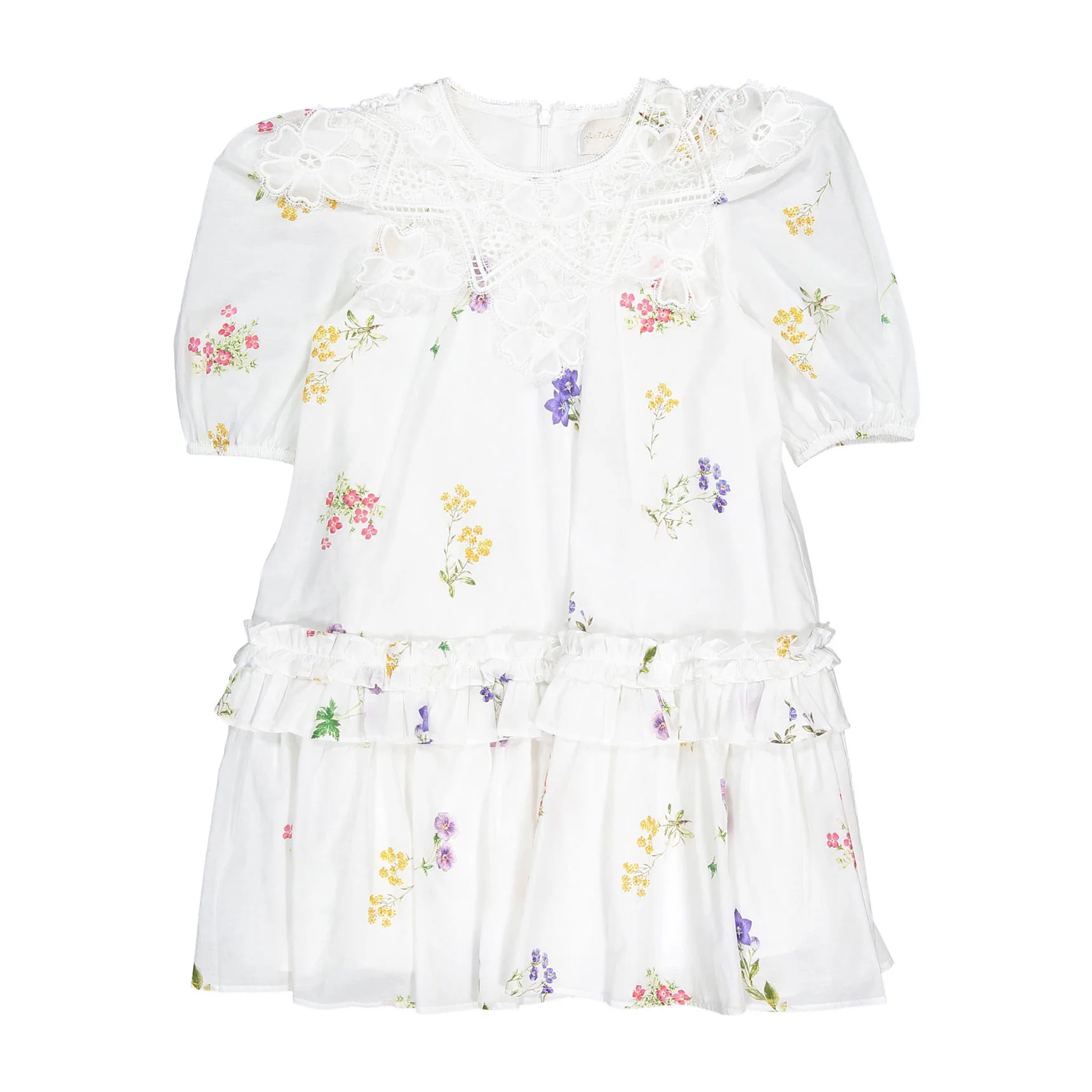 Petite Amalie  Floral Sketch Collar Dress