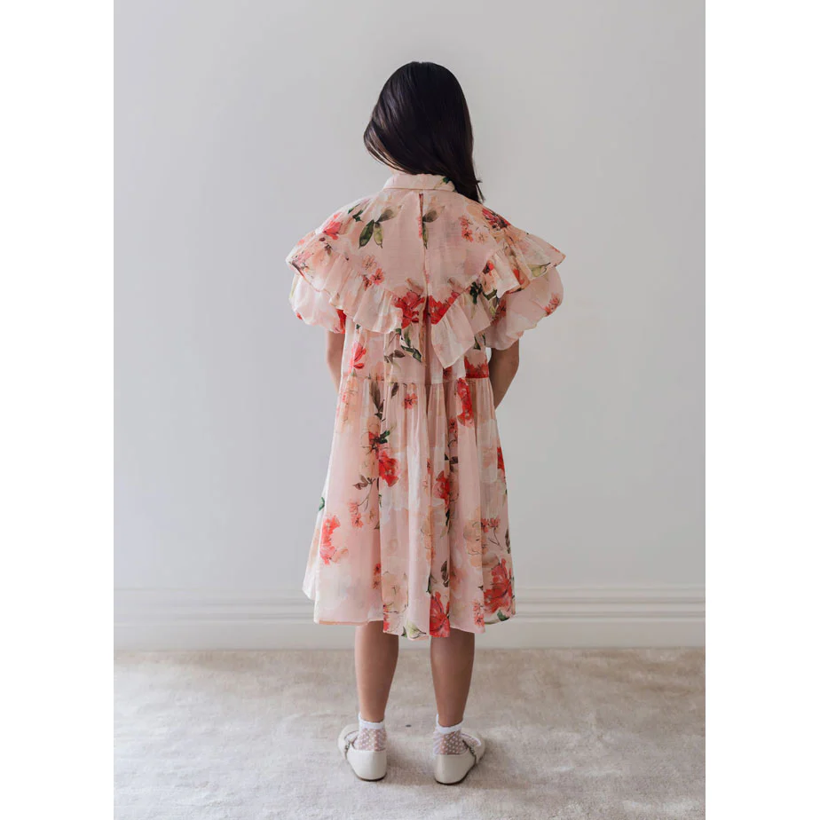 Petite Amalie Peach Peony Linen Collar Dress - Image 4