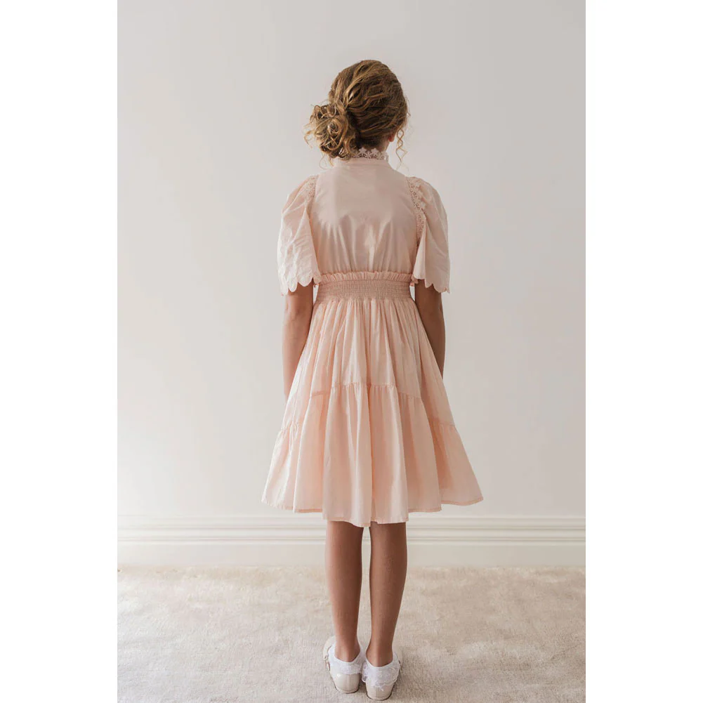 Petite Amalie Pink/Cream Shirred Waist Voile Dress - Image 4