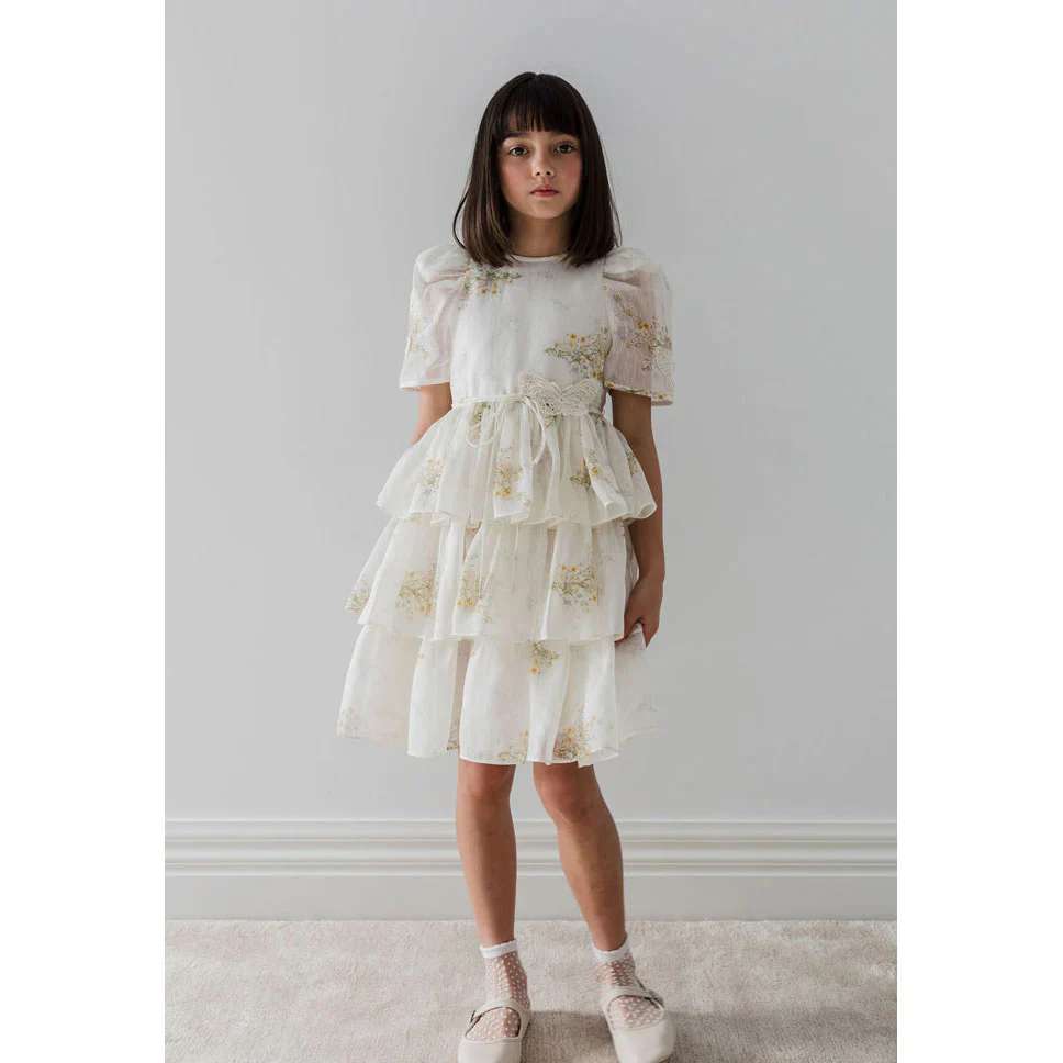 Petite Amalie Spring Meadow Butterfly Dress - Image 2