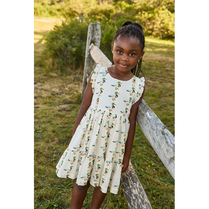 Pink Chicken Mallard Friends Kelsey Dress - Image 2
