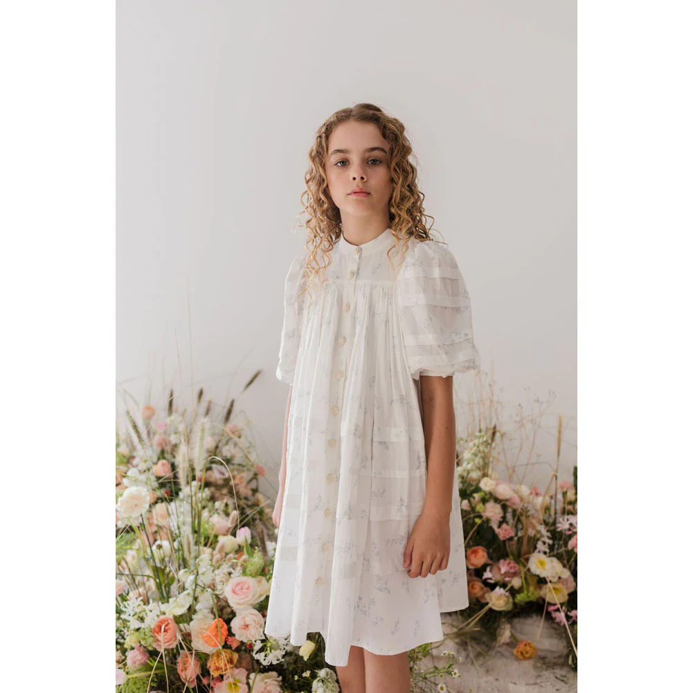 Steph Blue Ditsy Voile Dress - Image 2