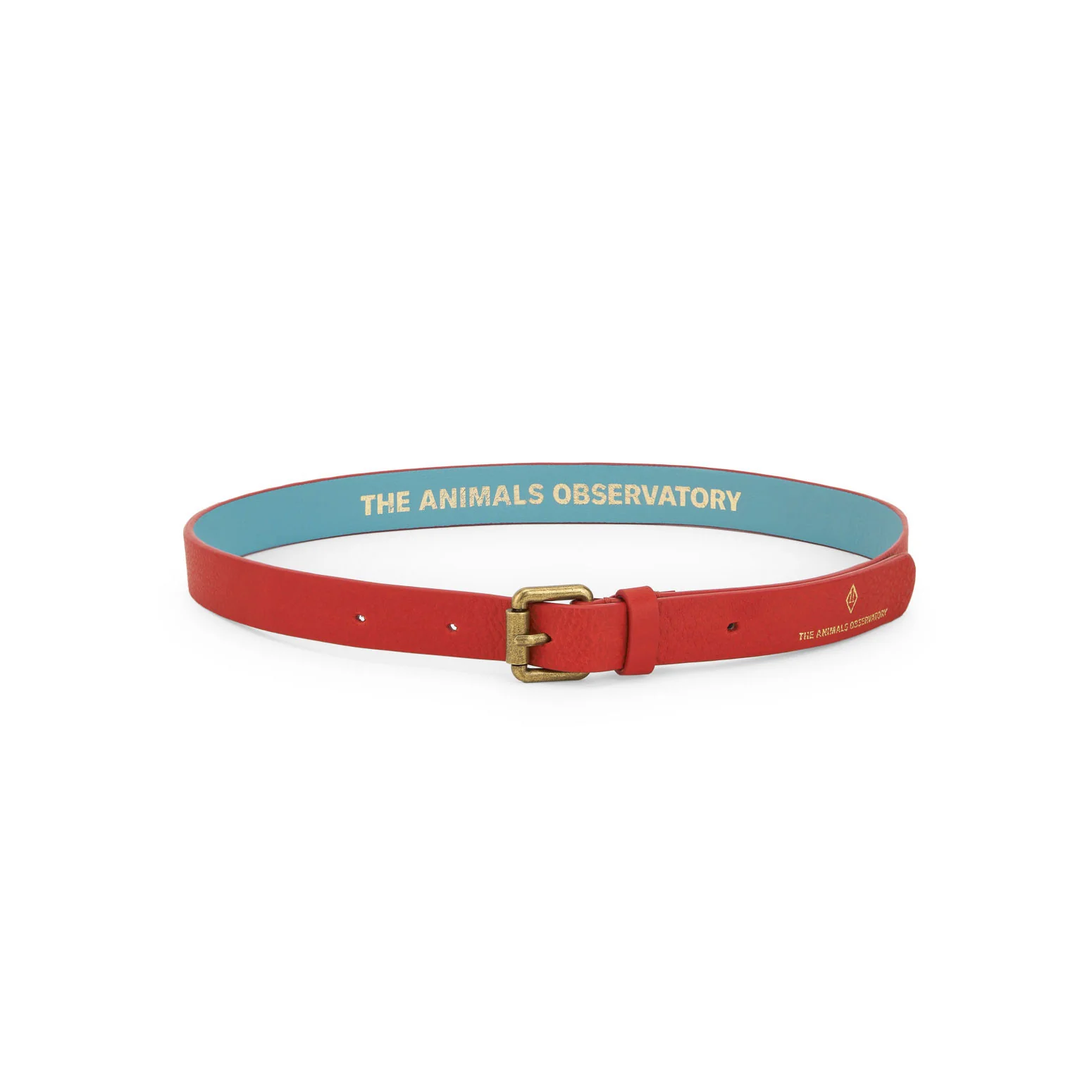 The Animals Observatory Red Ibis Belt