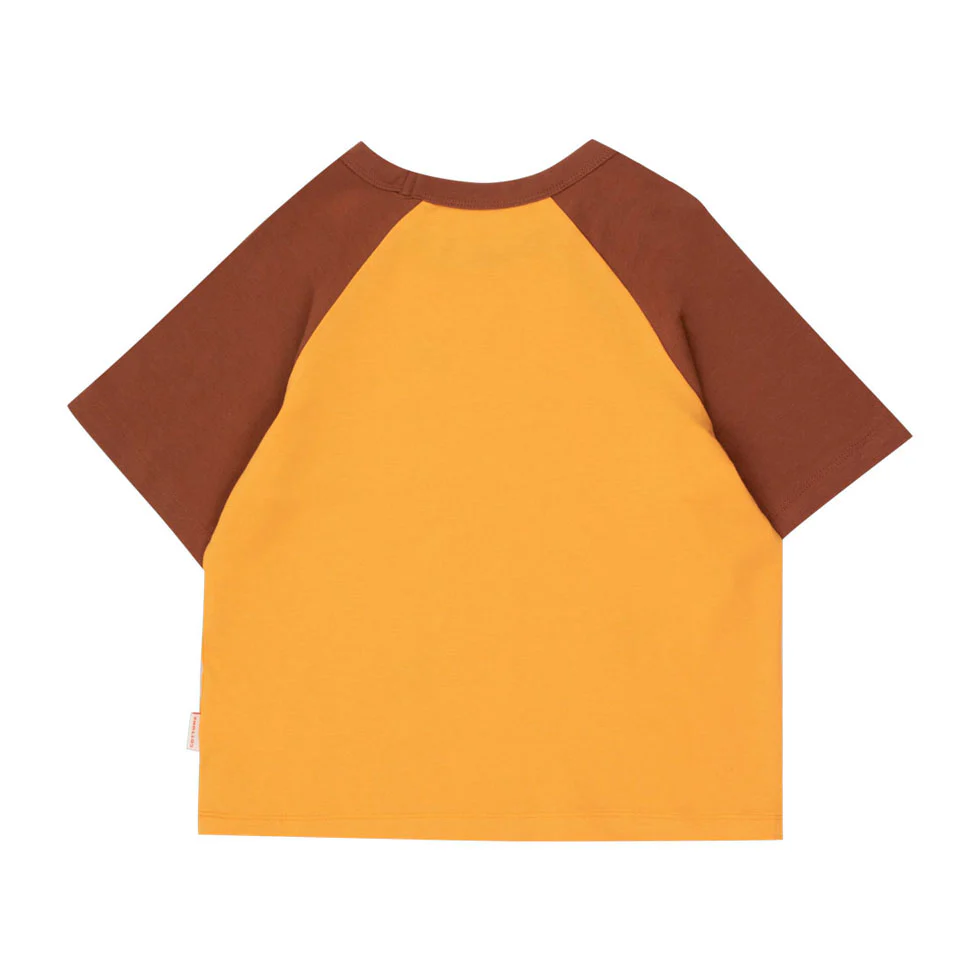 Tiny Cottons Orange/Dark Brown Star Tee - Image 2