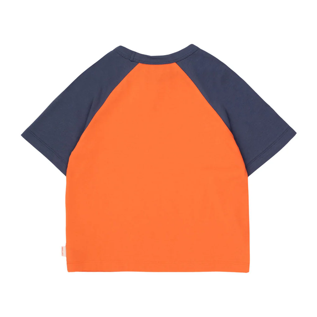 Tiny Cottons Orange-Red/Light Navy Stars Tee - Image 2