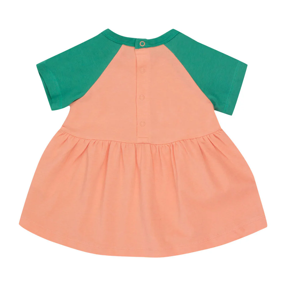 Tiny Cottons Papaya/Emerald Wonderland Baby Dress - Image 2